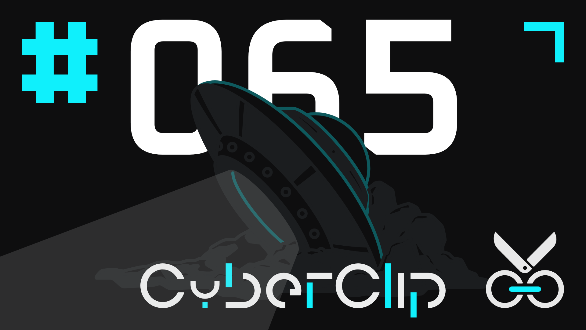 CyberClip #65 诚实测试